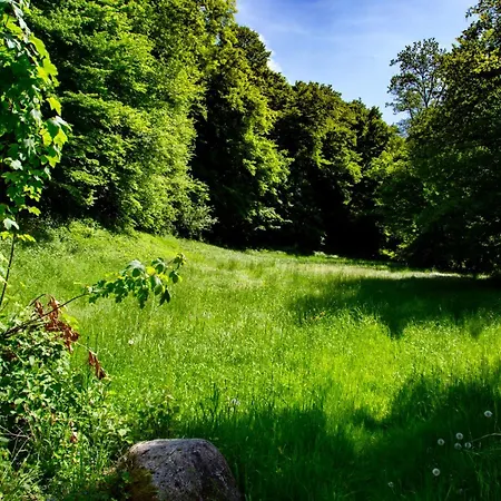 Apartamento Erholung An Den Wasserfaellen - In - Stilvolles Mit Terrasse, Parkplatz & Ruhiger Lage