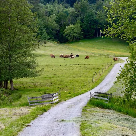 Apartman Erholung An Den Wasserfaellen - In - Stilvolles Mit Terrasse, Parkplatz & Ruhiger Lage Baden-Baden