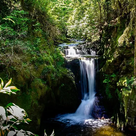 Apartman Erholung An Den Wasserfaellen - In - Stilvolles Mit Terrasse, Parkplatz & Ruhiger Lage Baden-Baden