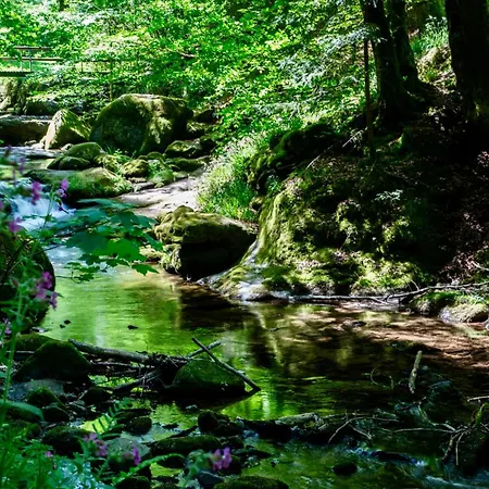 Erholung An Den Wasserfaellen - In - Stilvolles Mit Terrasse, Parkplatz & Ruhiger Lage Baden-Baden