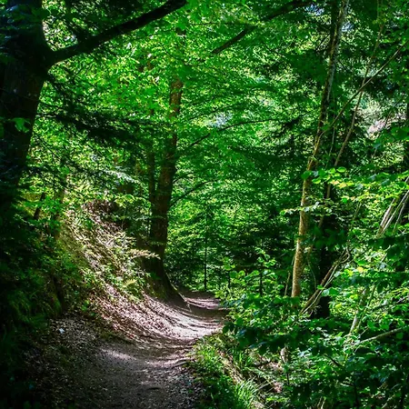 Erholung An Den Wasserfaellen - In - Stilvolles Mit Terrasse, Parkplatz & Ruhiger Lage Lägenhet